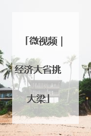 微视频｜经济大省挑大梁