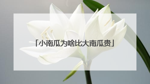 小南瓜为啥比大南瓜贵