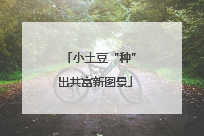 小土豆“种”出共富新图景