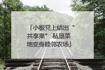 小板凳上结出“共享果” 私垦菜地变身睦邻农场
