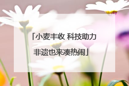 小麦丰收 科技助力 非遗也来凑热闹