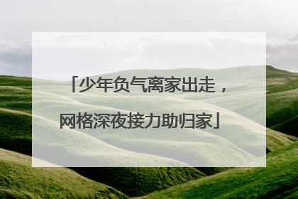 少年负气离家出走，网格深夜接力助归家