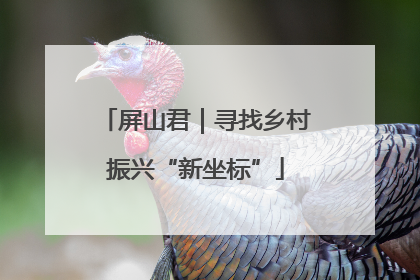 屏山君｜寻找乡村振兴“新坐标”