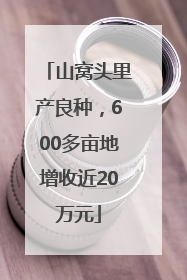 山窝头里产良种，600多亩地增收近20万元