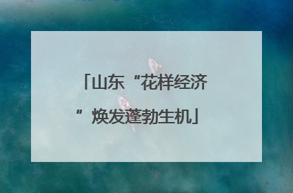 山东“花样经济”焕发蓬勃生机