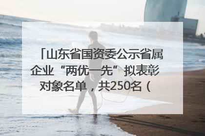 山东省国资委公示省属企业“两优一先”拟表彰对象名单，共250名（个）党员和党组织