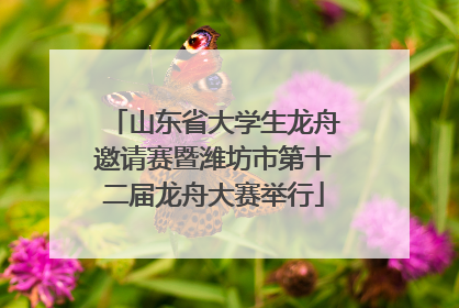 山东省大学生龙舟邀请赛暨潍坊市第十二届龙舟大赛举行