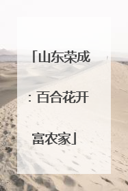 山东荣成：百合花开富农家