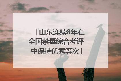 山东连续8年在全国禁毒综合考评中保持优秀等次