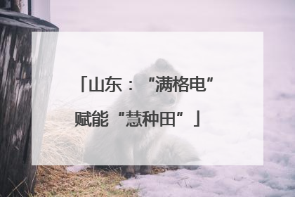 山东：“满格电”赋能“慧种田”