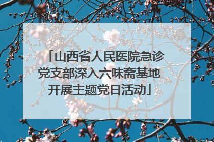 山西省人民医院急诊党支部深入六味斋基地开展主题党日活动