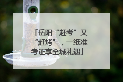 岳阳“赶考”又“赶烤”，一纸准考证享全城礼遇