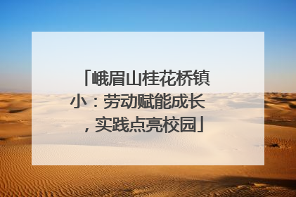峨眉山桂花桥镇小：劳动赋能成长，实践点亮校园