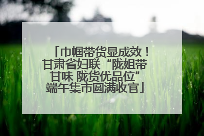 巾帼带货显成效！甘肃省妇联“陇姐带甘味 陇货优品位”端午集市圆满收官