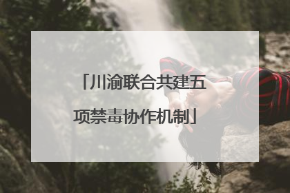 川渝联合共建五项禁毒协作机制