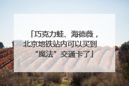 巧克力蛙、海德薇，北京地铁站内可以买到“魔法”交通卡了