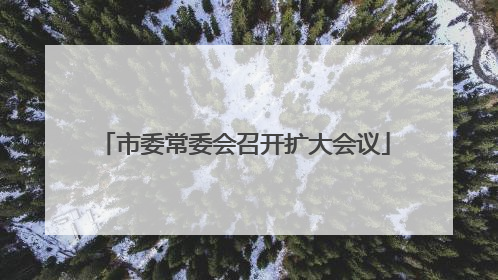 市委常委会召开扩大会议