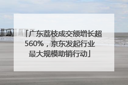 广东荔枝成交额增长超560%，京东发起行业最大规模助销行动