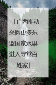 广西推动采购更多东盟国家水果进入寻常百姓家