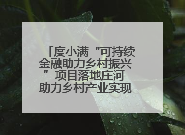 度小满“可持续金融助力乡村振兴”项目落地庄河 助力乡村产业实现绿色转型