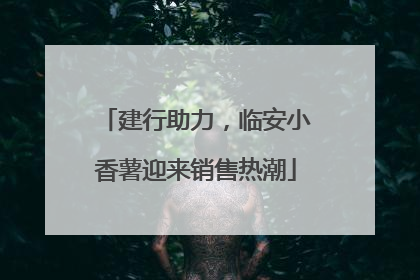 建行助力，临安小香薯迎来销售热潮
