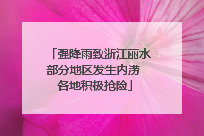 强降雨致浙江丽水部分地区发生内涝 各地积极抢险