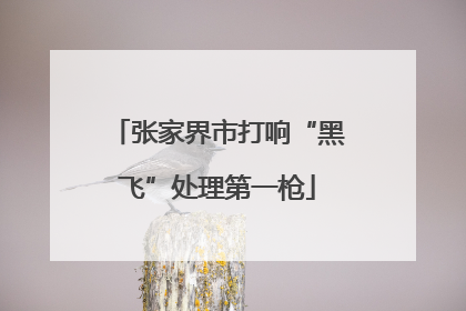 张家界市打响“黑飞”处理第一枪