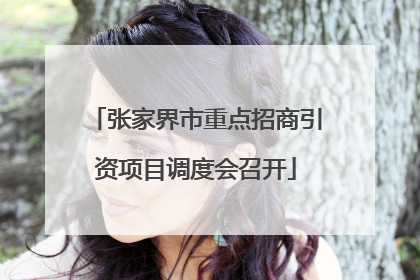 张家界市重点招商引资项目调度会召开