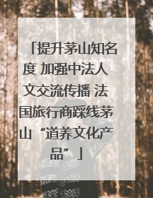 提升茅山知名度 加强中法人文交流传播 法国旅行商踩线茅山“道养文化产品”