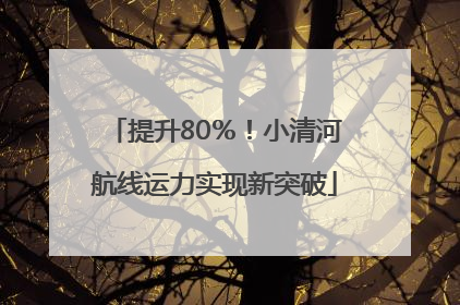 提升80％！小清河航线运力实现新突破