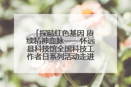 探赜红色基因 赓续精神血脉——怀远县科技馆全国科技工作者日系列活动走进怀远县实验中学