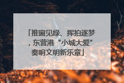 推窗见绿、挥拍逐梦，东营港“小城大爱”奏响文明新乐章