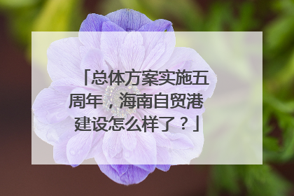 总体方案实施五周年，海南自贸港建设怎么样了？