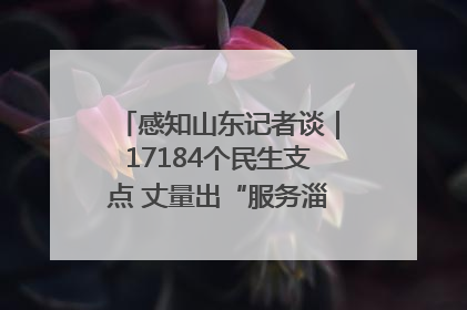 感知山东记者谈｜17184个民生支点 丈量出“服务淄博”的文明温度