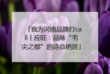 我为河南品牌打call丨应旺：品味“毛尖之都”的诗意栖居