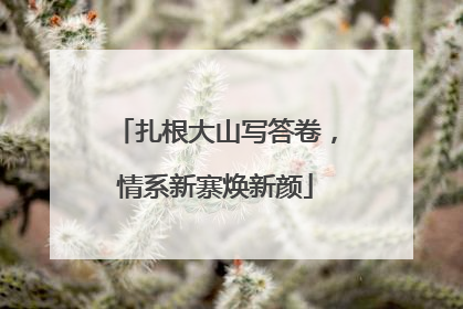 扎根大山写答卷，情系新寨焕新颜