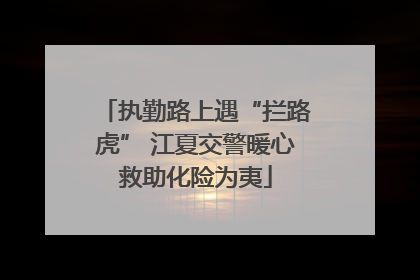 执勤路上遇“拦路虎” 江夏交警暖心救助化险为夷
