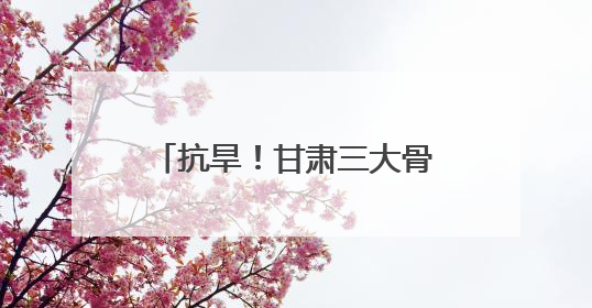 抗旱！甘肃三大骨干工程已累计调水2.45亿立方米