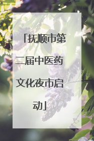 抚顺市第二届中医药文化夜市启动