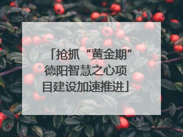 抢抓“黄金期” 德阳智慧之心项目建设加速推进