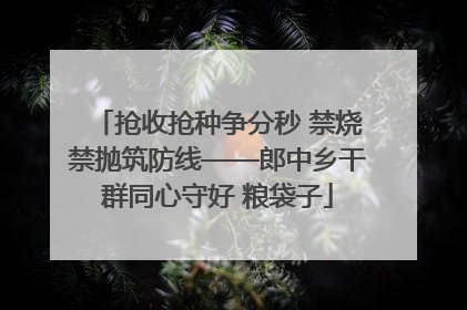 抢收抢种争分秒 禁烧禁抛筑防线——郎中乡干群同心守好 粮袋子