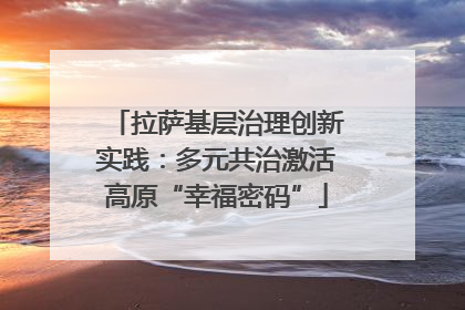 拉萨基层治理创新实践：多元共治激活高原“幸福密码”