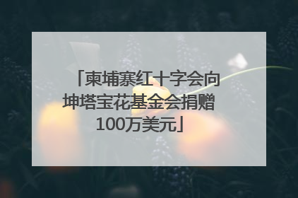 柬埔寨红十字会向坤塔宝花基金会捐赠100万美元