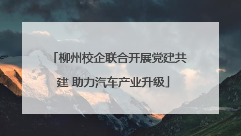 柳州校企联合开展党建共建 助力汽车产业升级