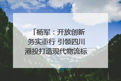 杨军：开放创新 务实重行 引领四川港投打造现代物流标杆｜致敬2024四川经济影响力人物