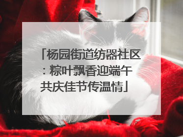 杨园街道纺器社区：粽叶飘香迎端午 共庆佳节传温情
