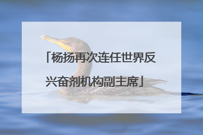 杨扬再次连任世界反兴奋剂机构副主席