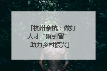 杭州余杭：做好人才“聚引留” 助力乡村振兴