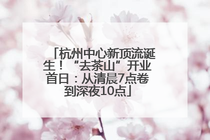 杭州中心新顶流诞生！“去茶山”开业首日：从清晨7点卷到深夜10点