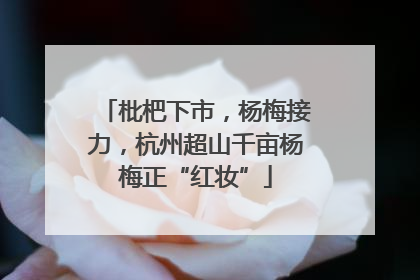 枇杷下市，杨梅接力，杭州超山千亩杨梅正“红妆”